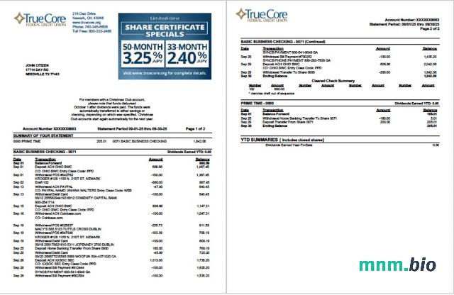 USA TransferWise Finances statement template w formacie Word i PDF